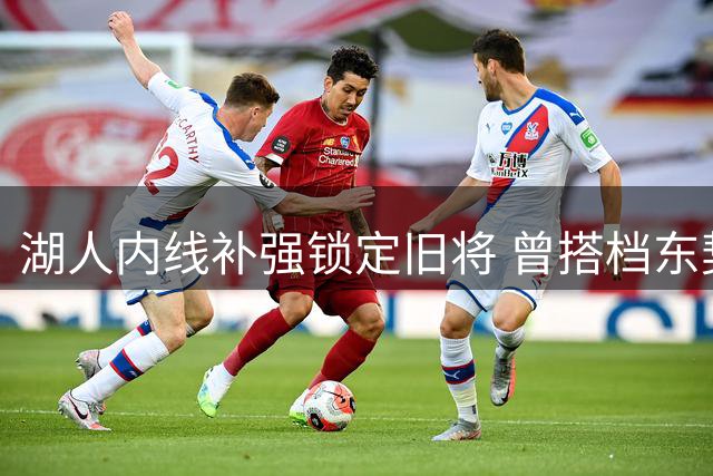 湖人内线补强锁定旧将 曾搭档东契奇雷迪克